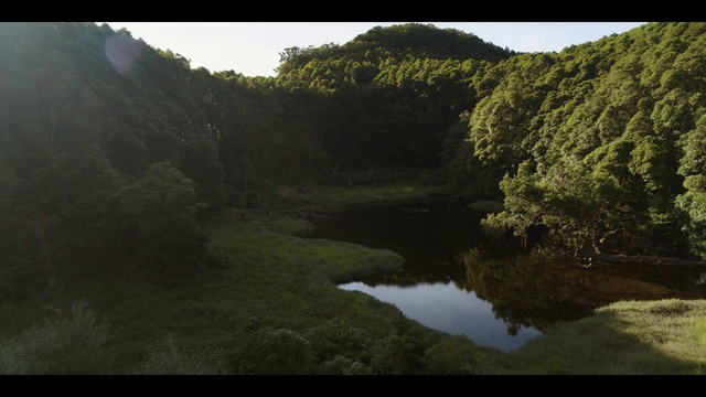 Video Reference: Sky, Water, Water resources, Ecoregion, Plant, Natural landscape, Highland, Vegetation, Tree, Sunlight