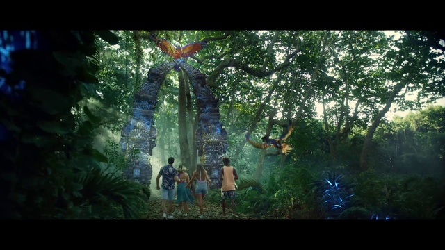 Video Reference: Plant, People in nature, Tree, Organism, Terrestrial plant, Vegetation, Sunlight, Natural landscape, Trunk, Art