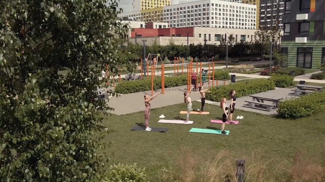 Video Reference: yoga, exercise, outdoor, park, group workout, fitness, mats, urban, apartment buildings, green space, wellness, recreation, calisthenics, daytime, people