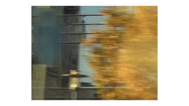 Video Reference: Rectangle, Wood, Art, Paint, Plant, Tints and shades, Twig, Painting, Tree, Landscape