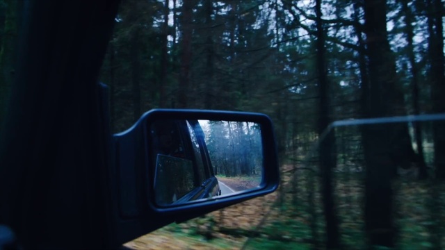 Video Reference: Mirror, Vehicle, Automotive side-view mirror, Plant, Automotive lighting, Sky, Motor vehicle, Automotive mirror, Tree, Wood
