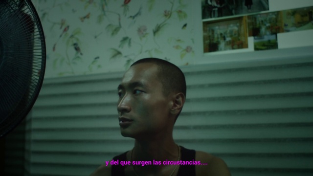 Video Reference: Forehead, Temple, Black hair, Picture frame, Mechanical fan, Chest, Room, Fun, Sitting, T-shirt