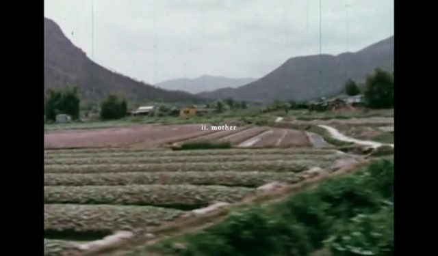 Video Reference: Plant, Sky, Cloud, Mountain, Natural landscape, Tree, Highland, Landscape, Asphalt, Grass