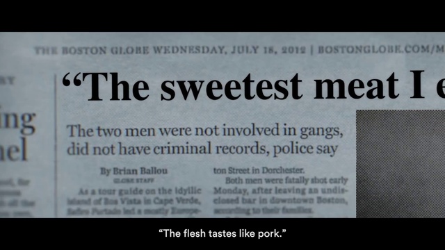 Video Reference: Font, Rectangle, Magenta, Terrestrial plant, Paper, Signage, Event, Landscape, Document, Media