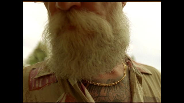 Video Reference: Gesture, Eyelash, Beard, Fawn, Whiskers, Companion dog, Dog breed, Trunk, Jewellery, Human leg