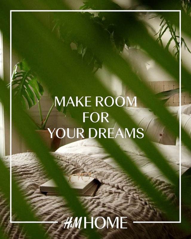 Video Reference: Tree, Terrestrial plant, Arecales, Grass, Plant, Natural landscape, Font, Landscape, Forest, Twig