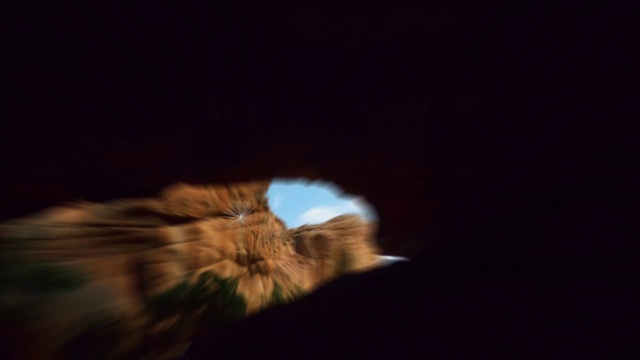 Video Reference: Plant, Whiskers, Felidae, Carnivore, Fawn, Small to medium-sized cats, Tints and shades, Snout, Tail, Terrestrial animal