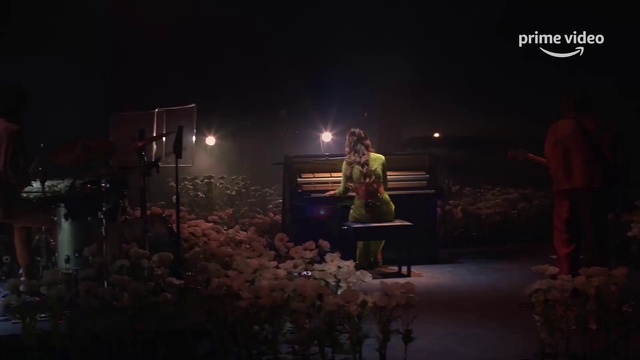 Video Reference: Entertainment, Performing arts, Musical instrument, Music, Event, Midnight, Flower, Concert, Darkness, Performance art