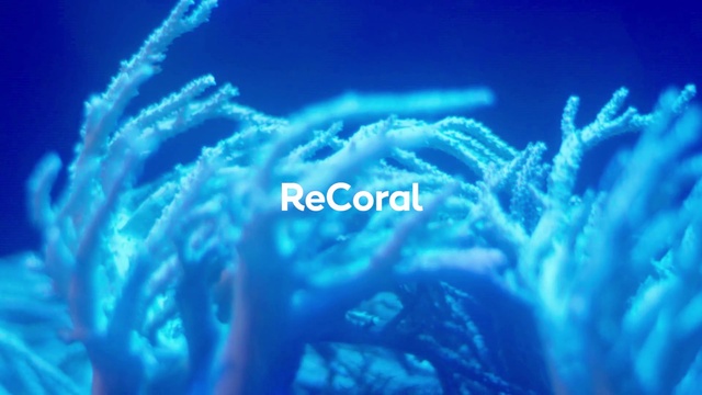 Video Reference: World, Underwater, Sky, Marine biology, Font, Cloud, Marine invertebrates, Water, Geological phenomenon, Electric blue