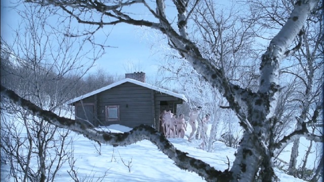 Video Reference: Sky, Building, Window, Plant, Snow, House, Tree, Wood, Twig, Natural landscape