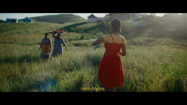 Video Reference: Plant, Dress, Flash photography, Natural landscape, People in nature, One-piece garment, Happy, Gesture, Sky, Grass