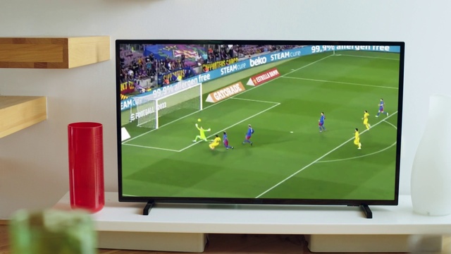 Video Reference: Soccer, Sports equipment, Plant, Football, Television, Ball, Player, Ball game, Gadget, Flat panel display