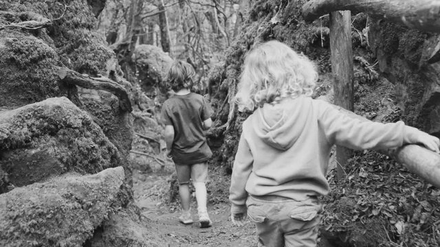 Video Reference: black and white, children, forest, trail, hiking, outdoors, nature, rocks, moss, woods, walking, back view, adventure, path, travel
