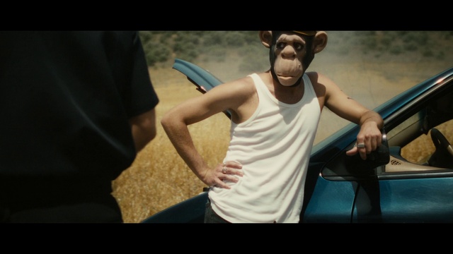 Video Reference: Flash photography, Jaw, Gesture, Happy, T-shirt, Elbow, Chest, Eyewear, Trunk, Leisure