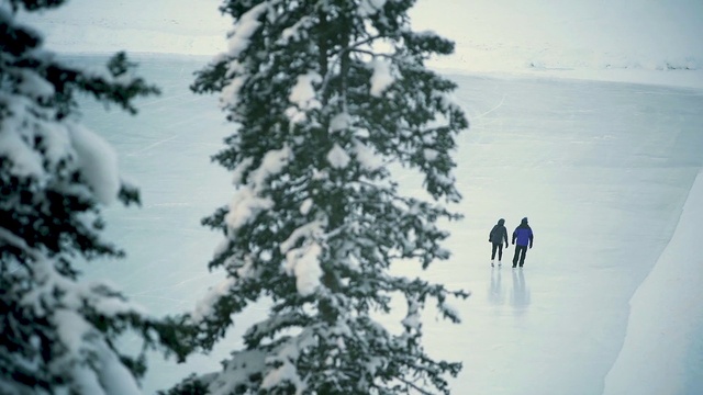 Video Reference: Slope, Freezing, Snow, People in nature, Evergreen, Terrain, Tree, Ice cap, Geological phenomenon, Winter sport