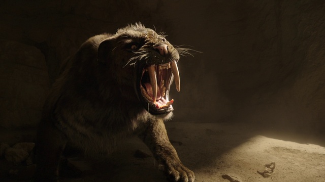 Video Reference: Roar, Fang, Felidae, Jaw, Carnivore, Big cats, Whiskers, Terrestrial animal, Lion, Snout