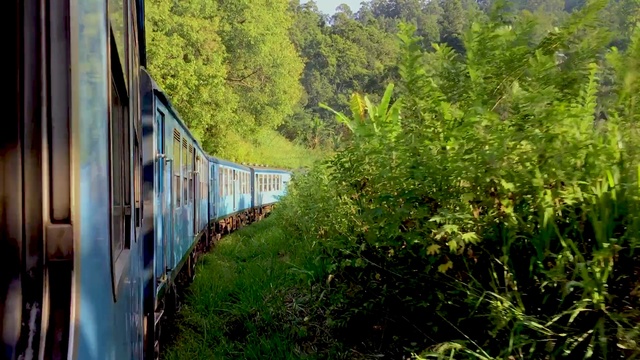 Video Reference: Train, Plant, Tree, Rolling, Vehicle, Rolling stock, Tints and shades, Landscape, Grass, Railway