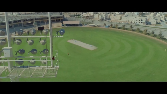Video Reference: Grass, Urban design, Ball game, Sports, Team sport, Stadium, Player, Landscape, Leisure, Arena