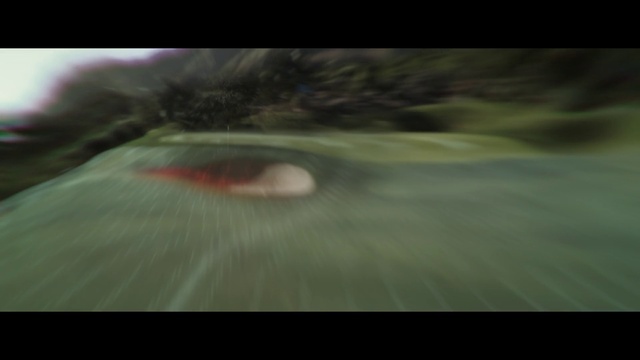 Video Reference: Eyelash, Flash photography, Wood, Grass, Tints and shades, Landscape, Natural landscape, Font, Darkness, Windshield