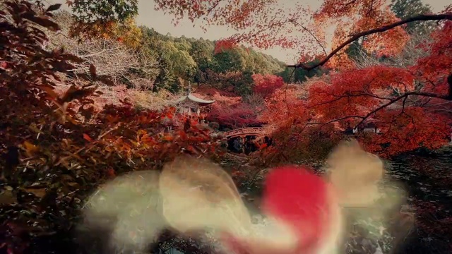 Video Reference: Plant, Flower, Tree, Leaf, Botany, Branch, Natural landscape, People in nature, Twig, Vegetation