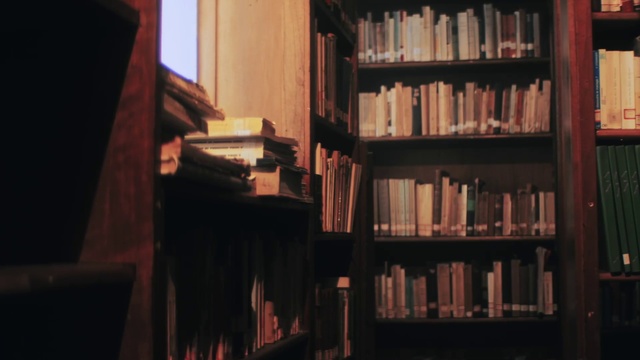 Video Reference: Brown, Bookcase, Shelf, Furniture, Book, Publication, Shelving, Wood, Tints and shades, Hardwood