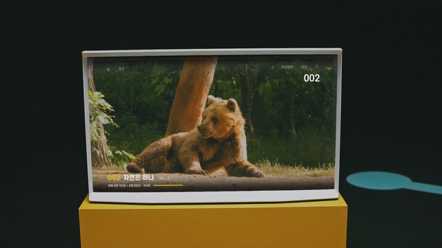 Video Reference: Brown bear, Vertebrate, Felidae, Grizzly bear, Carnivore, Lion, Output device, Plant, Flat panel display, Big cats