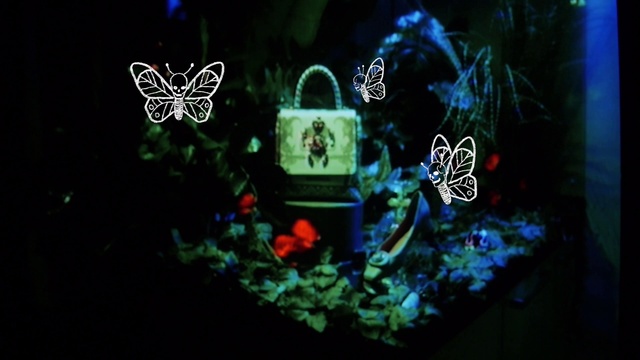 Video Reference: Window, Leaf, Nature, Insect, Organism, Butterfly, Pollinator, Tree, Aqua, Art