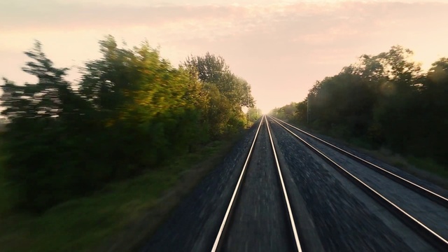 Video Reference: Sky, Plant, Road surface, Natural landscape, Asphalt, Branch, Track, Sunlight, Tree, Cloud