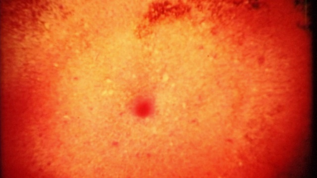 Video Reference: Amber, Orange, Astronomical object, Science, Circle, Sky, Sun, Gas, Space, Pattern