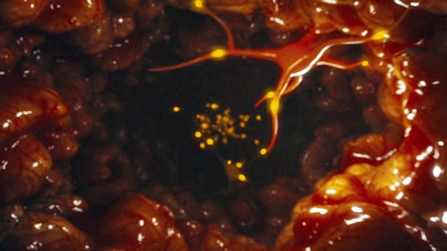 Video Reference: Liquid, Ingredient, Fluid, Recipe, Cuisine, Dish, Food, Natural foods, Produce, Event