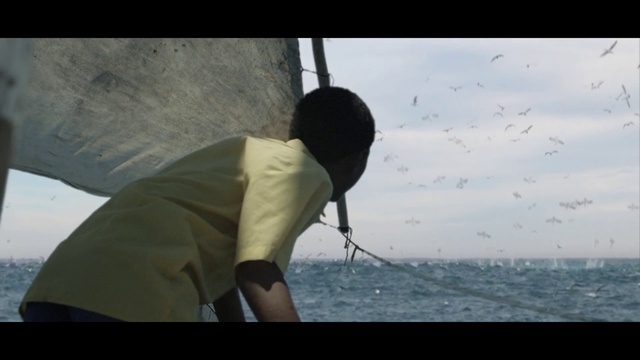 Video Reference: Water, Bird, Sky, Flash photography, Travel, Tints and shades, Happy, Elbow, T-shirt, Recreation