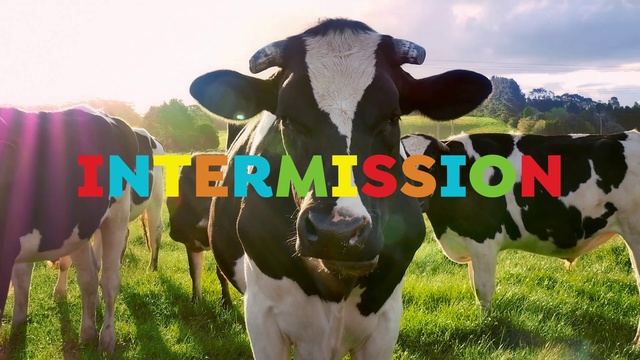 Video Reference: Sky, Ecoregion, Light, Plant, Natural environment, Working animal, Organism, Natural landscape, Grass, Mammal