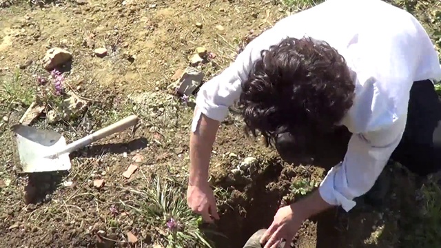 Video Reference: Leaf, People in nature, Botany, Plant, Grass, Garden tool, Adaptation, Groundcover, Grass family, Tool