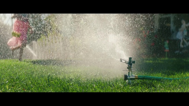 Video Reference: Water, Plant, People in nature, Irrigation sprinkler, Natural landscape, Flower, Font, Atmospheric phenomenon, Grass, Landscape