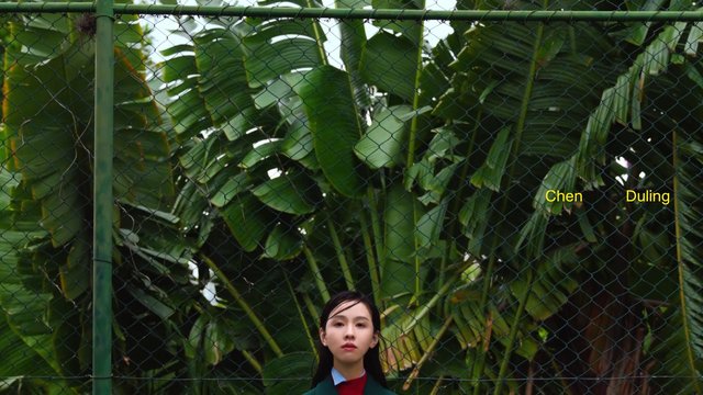 Video Reference: woman, fence, banana leaves, tropical, greenery, portrait, outdoors, text overlay, chain-link, foliage, garden, nature, serious, headshot
