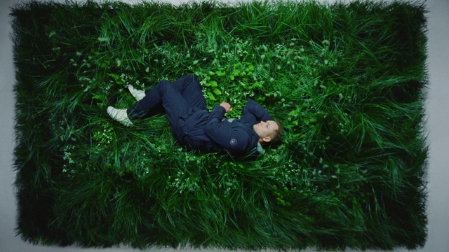 Video Reference: Plant, People in nature, Grass, Groundcover, Grassland, Meadow, Lawn, Flooring, Landscape, Shrub