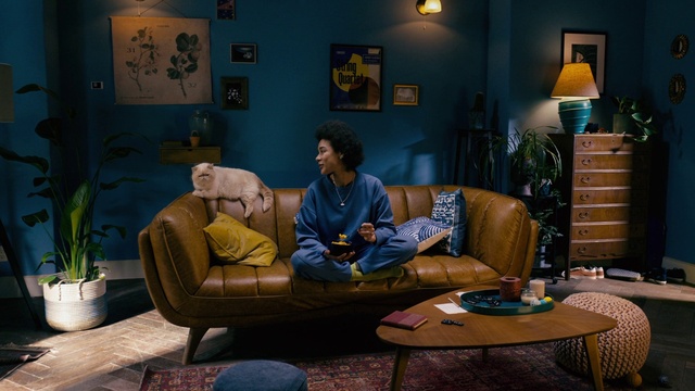 Video Reference: Plant, Furniture, Picture frame, Comfort, Flowerpot, Table, Lighting, Houseplant, Interior design, Living room