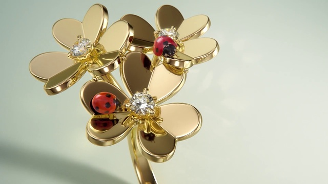 Video Reference: Plant, Body jewelry, Petal, Gold, Natural material, Ornament, Wedding ceremony supply, Headgear, Oval, Cross