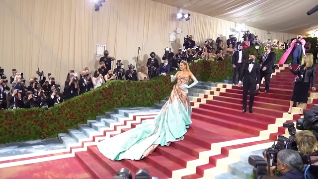 Video Reference: Dress, Plant, Gown, Flooring, Red carpet, Suit, Decoration, Formal wear, Bridal clothing, Houseplant