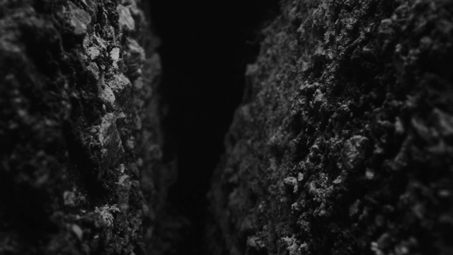 Video Reference: Flash photography, Water, Sky, Grey, Black-and-white, Wood, Grass, Trunk, Automotive tire, Natural landscape