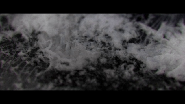 Video Reference: Atmosphere, Cloud, Water, Natural landscape, Sky, Grey, Black-and-white, Twig, Atmospheric phenomenon, Plant