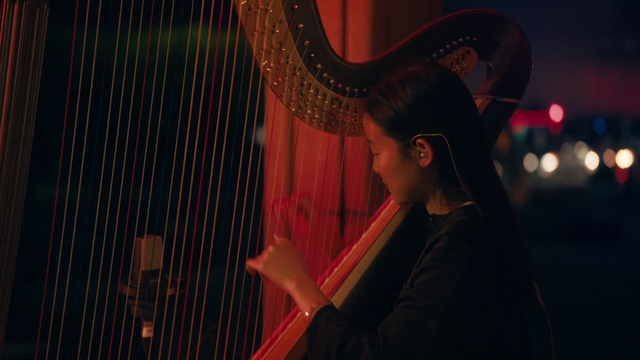 Video Reference: Harp, Harpist, Musical instrument, Clàrsach, String instrument, Plucked string instruments, Folk instrument, Flash photography, Event, Musician