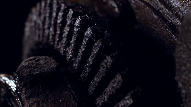 Video Reference: close-up, texture, abstract, dark, organic, rough, surface, macro, grooves, shadows, pattern, detail, moody, low light