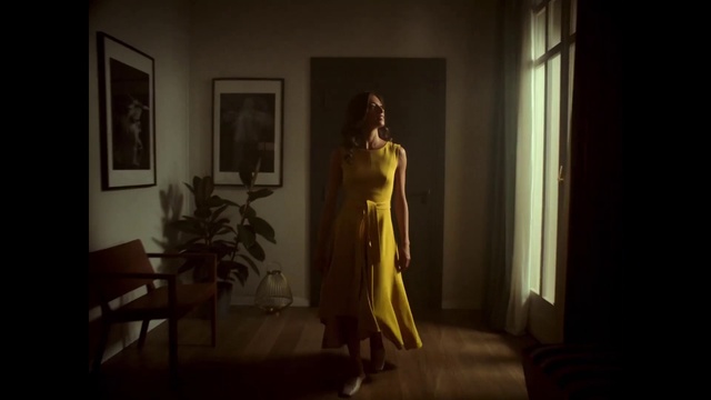 Video Reference: Flash photography, Plant, One-piece garment, Houseplant, Picture frame, Fashion design, Tints and shades, Event, Performing arts, Darkness