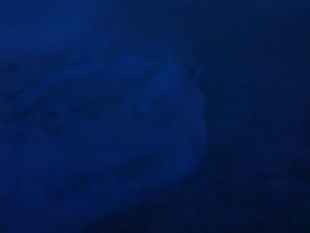 Video Reference: Blue, Cloud, Electric blue, Cumulus, Pattern, Marine biology, Meteorological phenomenon, Horizon, Darkness, Magenta