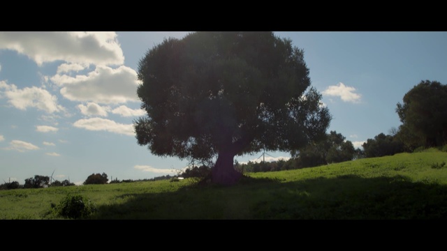 Video Reference: Cloud, Sky, Plant, World, Tree, Natural landscape, Land lot, Atmospheric phenomenon, Grassland, Plain