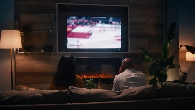 Video Reference: Plant, Houseplant, Television set, Comfort, Television, Living room, Flat panel display, Display device, Electronic device, Event