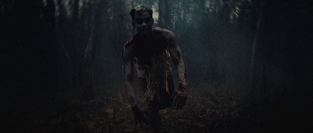 Video Reference: Plant, Grass, Personal protective equipment, Wood, Darkness, Forest, Haze, Cg artwork, Tree, Action-adventure game