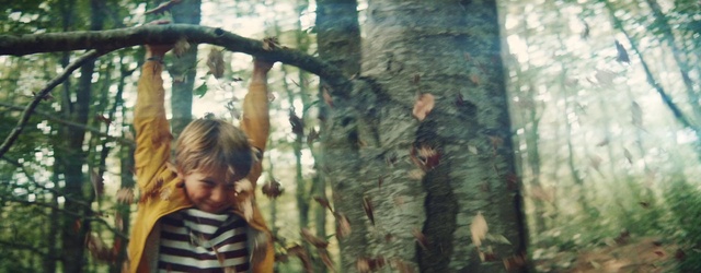 Video Reference: People in nature, Wood, Trunk, Terrestrial plant, Military camouflage, Twig, Adaptation, Grass, Toddler, Forest