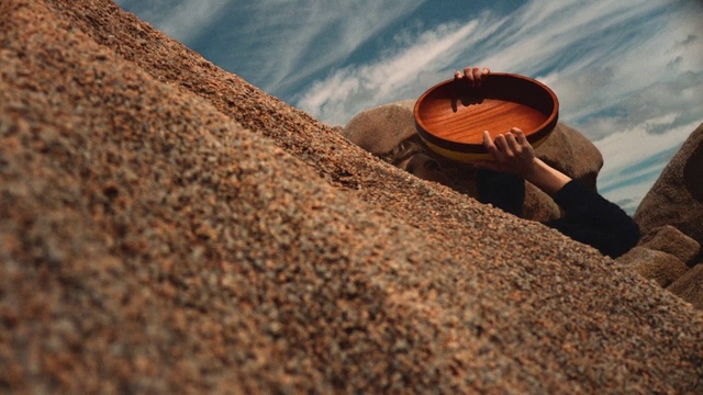 Video Reference: Cloud, Sky, Wood, Automotive tire, Tree, Tints and shades, Landscape, Horizon, Coin, Sand